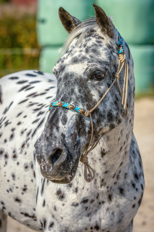 Rope halter beige with skyland noseband and earband