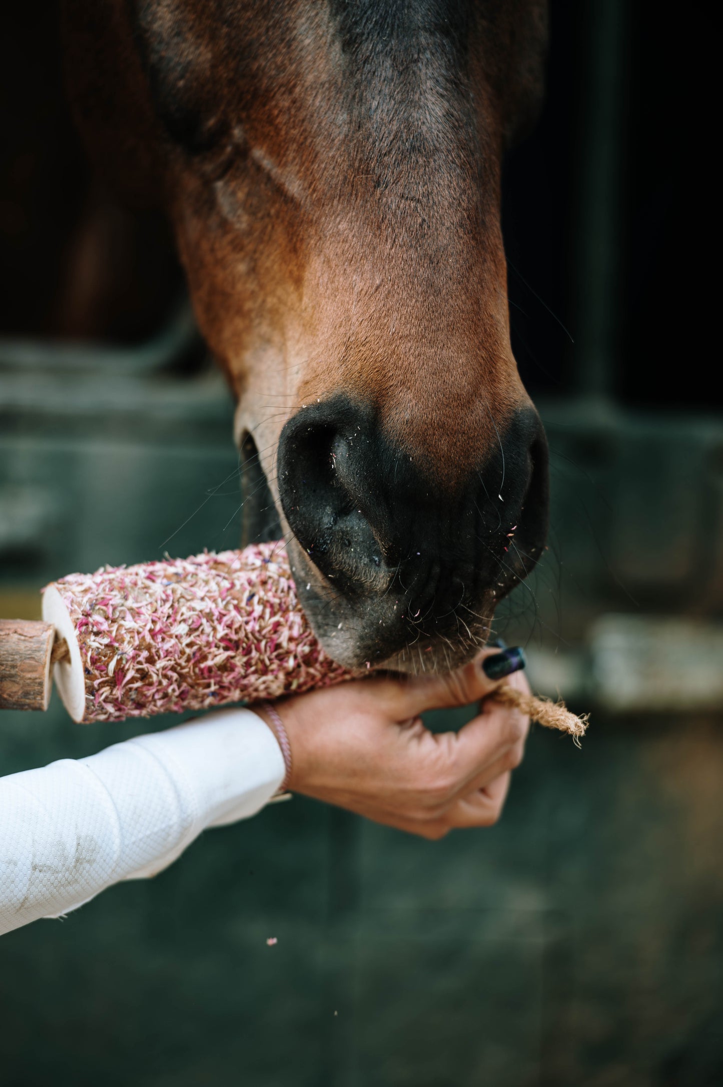 Herbi Horse - Wooden herbal play rope with licking stone Tummy