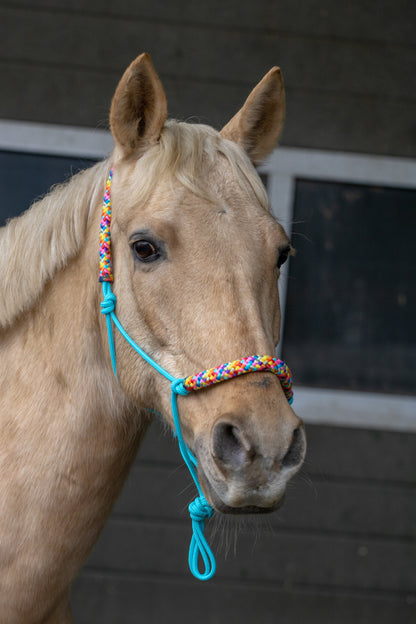 Rope halter turquoise with rainbow noseband and earband