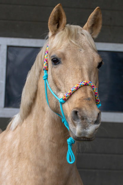 Rope halter turquoise with rainbow noseband and earband