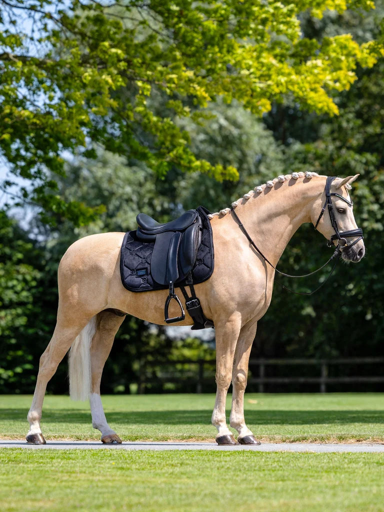 Equestrian Stockholm - FW26 Black - Dressage Saddle Pad Velvet dressuurzadeldek