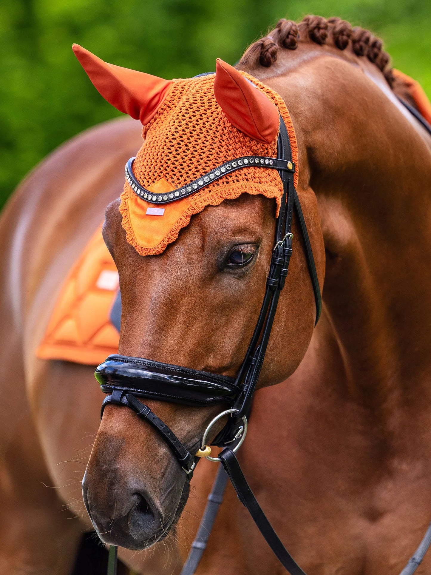 Equestrian Stockholm - FW26 Chestnut - Ear Bonnet Velvet oornetje