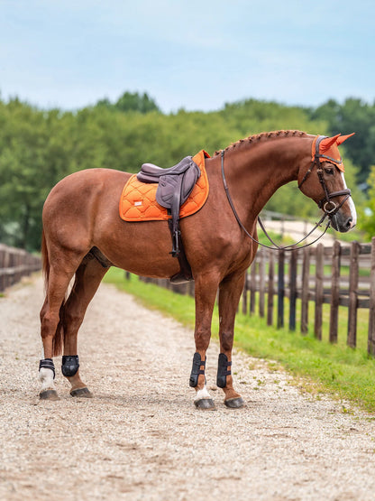 Equestrian Stockholm - FW26 Chestnut - Jump Saddle Pad Velvet springzadeldek