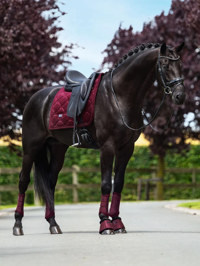 Equestrian Stockholm - FW26 Merlot - Mesh Brushing Boots beenbeschermers