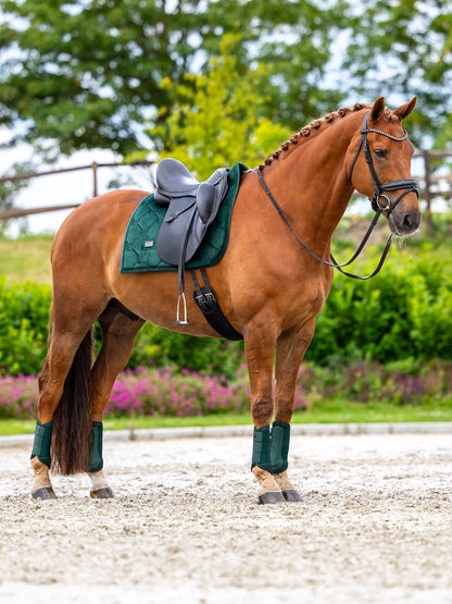 Equestrian Stockholm - FW26 Sycamore Green - Mesh Brushing Boots beenbeschermers