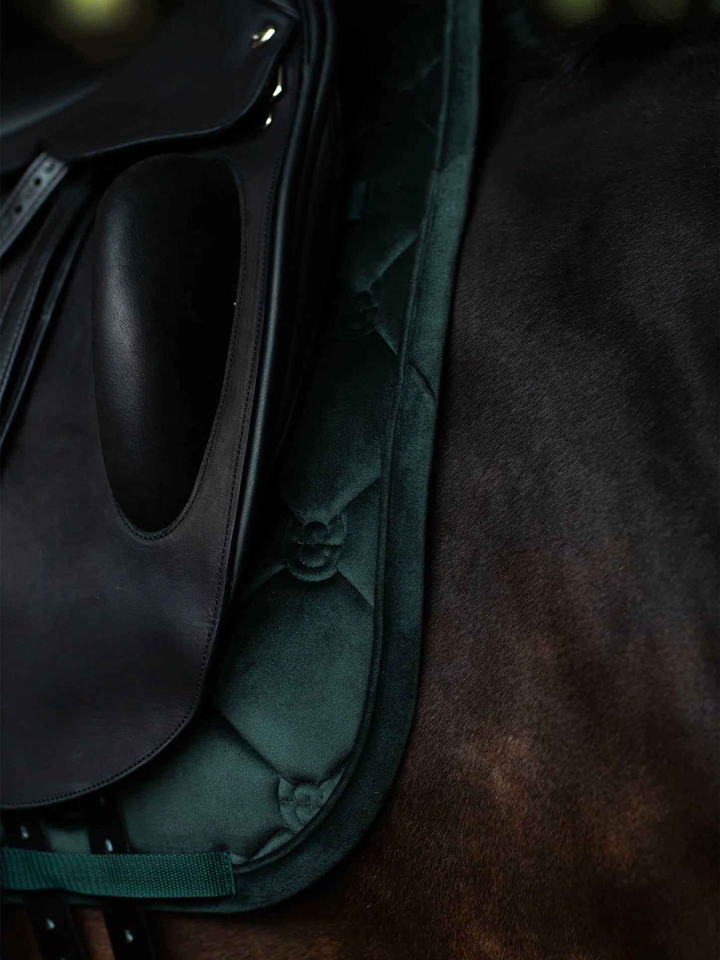 Equestrian Stockholm - FW26 Sycamore Green - Dressage Saddle Pad Velvet dressuurzadeldek