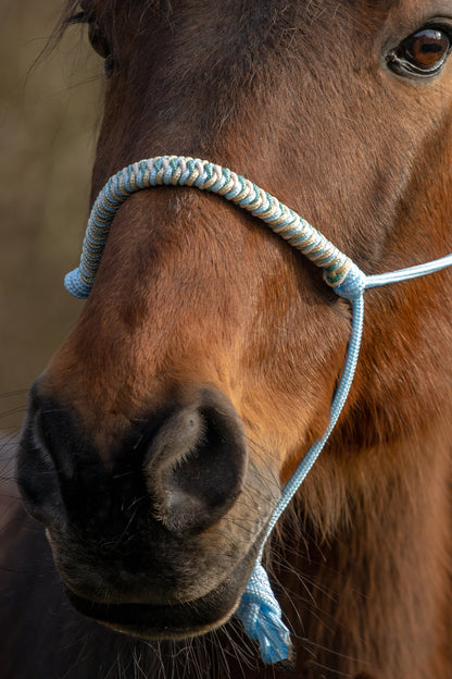 Rope Halter Vienna Noseband Baby Blue, Cream, Sea Green, and Gold