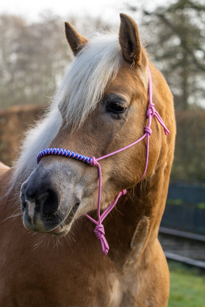 Rope Halter Vienna Noseband Baby Pink, Lilac, Cobalt Blue, and Baby Blue