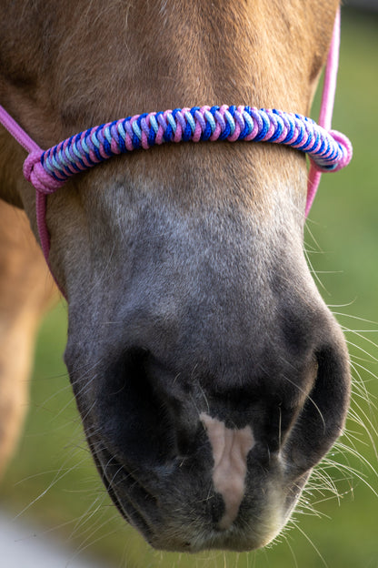 Rope Halter Vienna Noseband Baby Pink, Lilac, Cobalt Blue, and Baby Blue