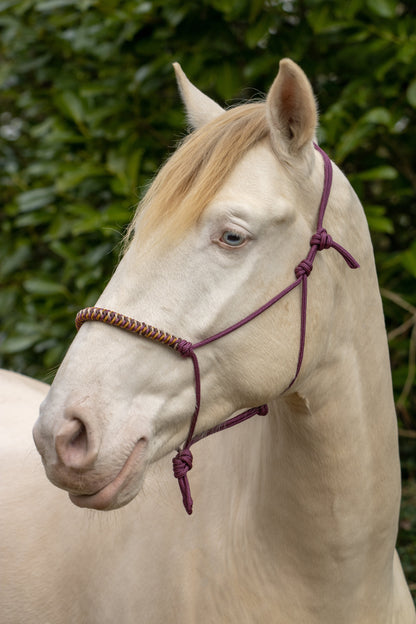 Rope Halter Vienna Noseband Bordeaux, Beige, Caramel, and Brown