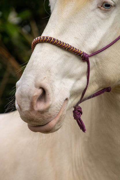 Rope Halter Vienna Noseband Bordeaux, Beige, Caramel, and Brown