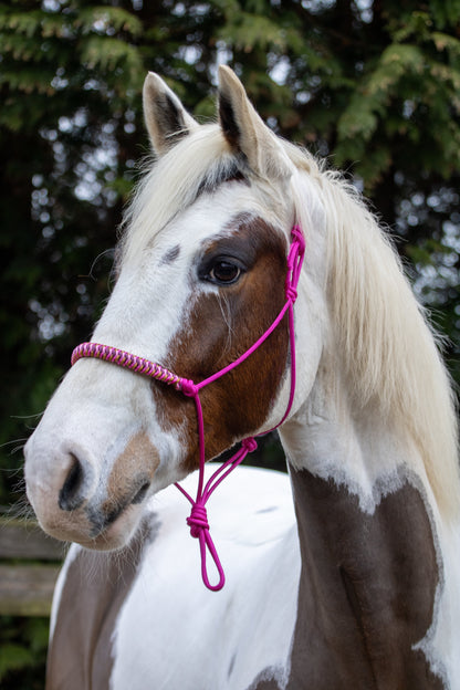 Rope Halter Vienna Noseband Fuchsia, Beige, Caramel, and Bordeaux