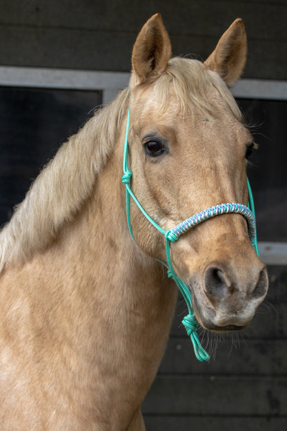 Rope Halter Vienna Noseband Mint Green, Sea Green, Cream, and Lilac