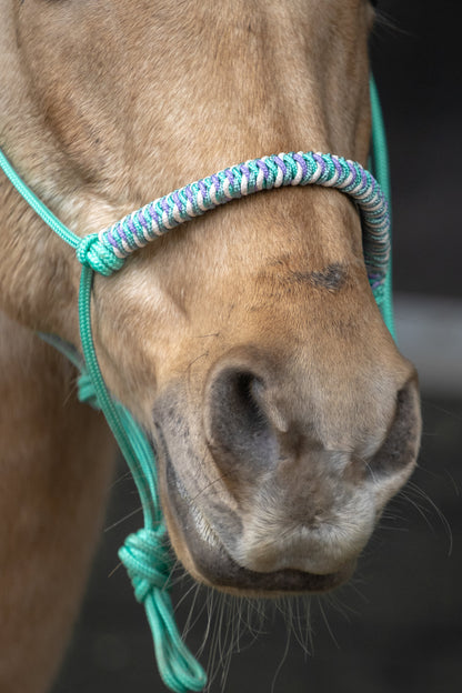 Rope Halter Vienna Noseband Mint Green, Sea Green, Cream, and Lilac