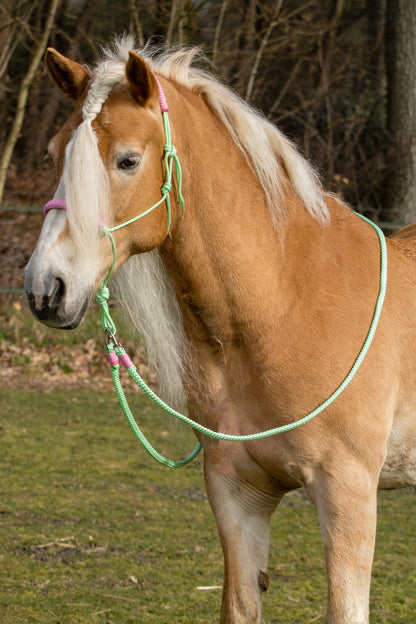 Rope Halter Set Sweet Mint