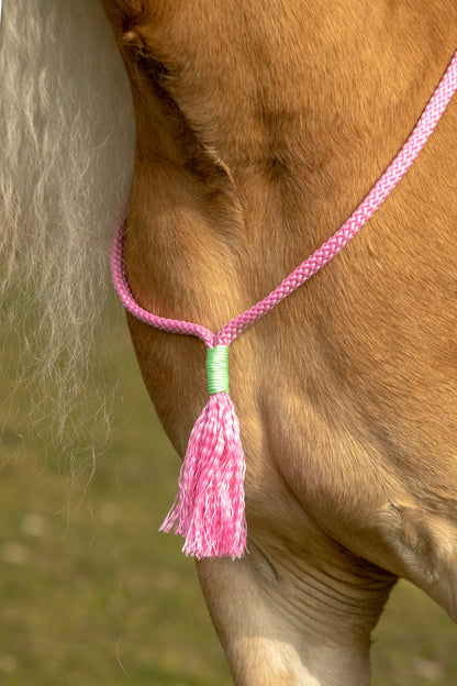 Rope holster set watermelon