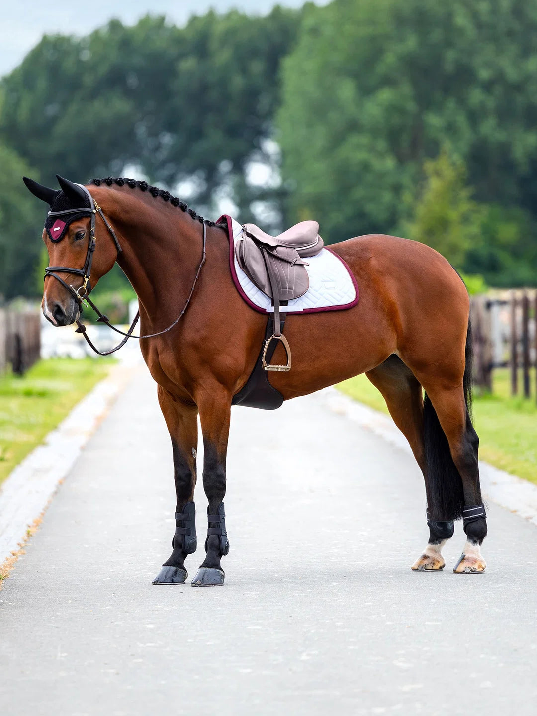 Equestrian Stockholm - FW26 White Merlot - Jump Saddle Pad Modern springzadeldek