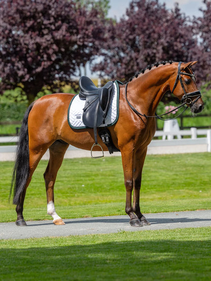 Equestrian Stockholm - FW26 White Sycamore Green - Dressage Saddle Pad Modern dressuurzadeldek
