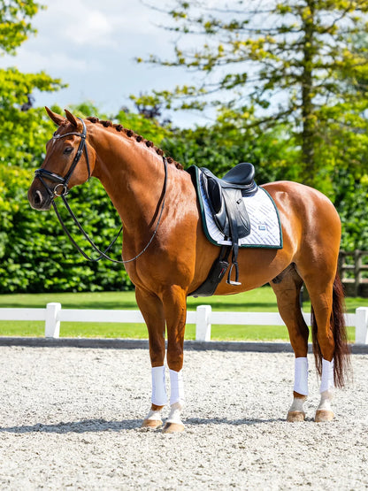 Equestrian Stockholm - FW26 White Sycamore Green - Dressage Saddle Pad Modern dressuurzadeldek