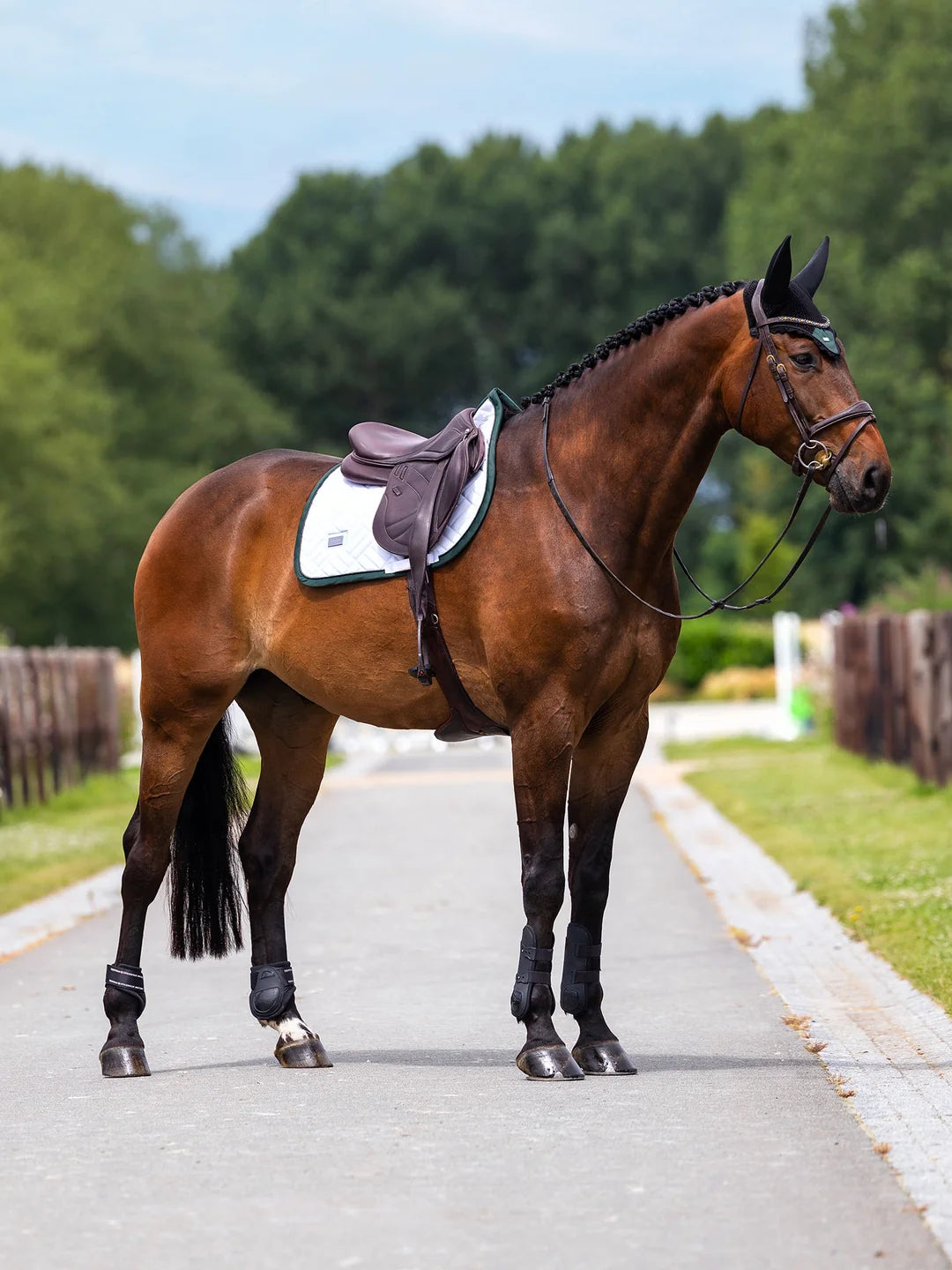 Equestrian Stockholm - FW26 White Sycamore Green - Jump Saddle Pad Modern springzadeldek