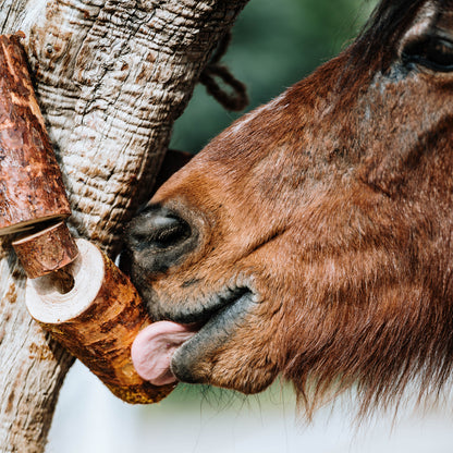 Herbi Horse - Wooden Play Rope Natural