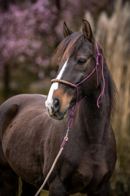 Rope Halter Vienna Noseband Bordeaux, Beige, Caramel, and Brown