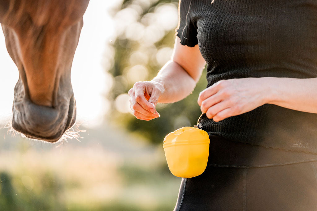 FMH - Silikon-Trainings-Snackbeutel mit Clip oder Bauchband für kleine Süßigkeiten