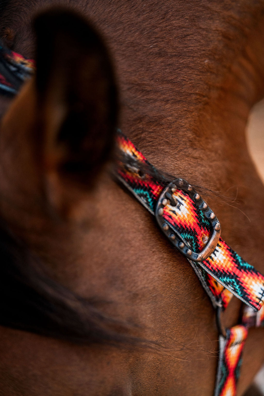 OP=OP - Schulz Equine - Halster Sunset aztek