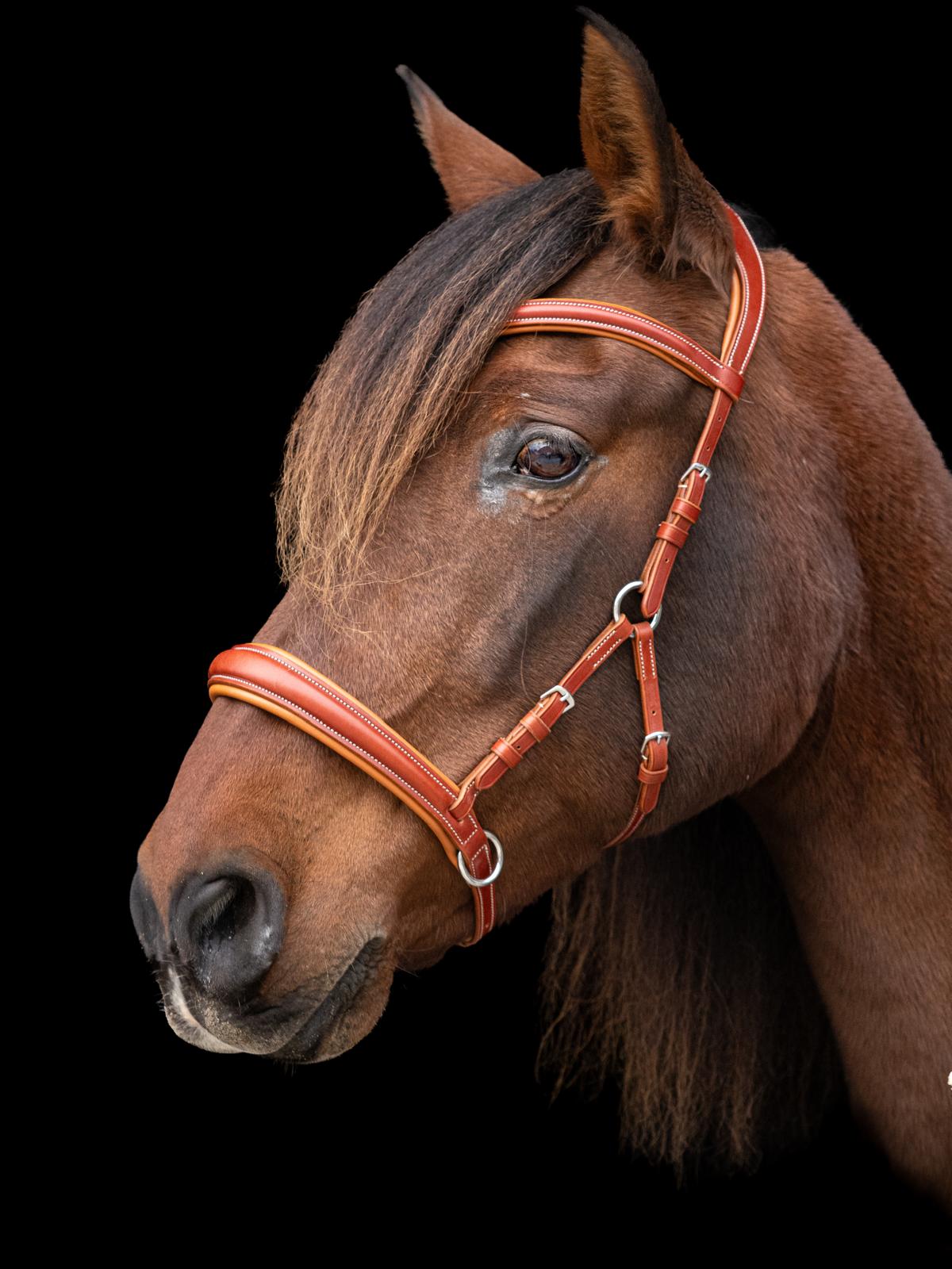 LoveLance - Sidepull Zephyr