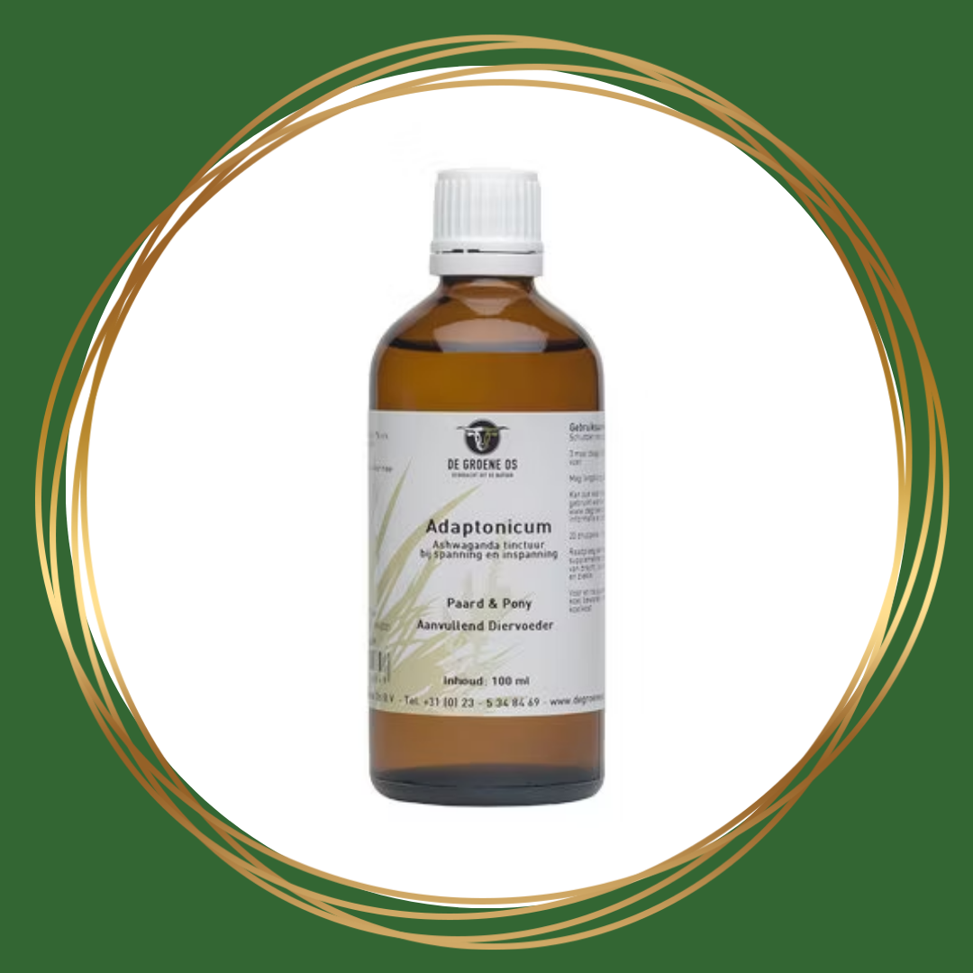 De Groene Os | Adaptonicum