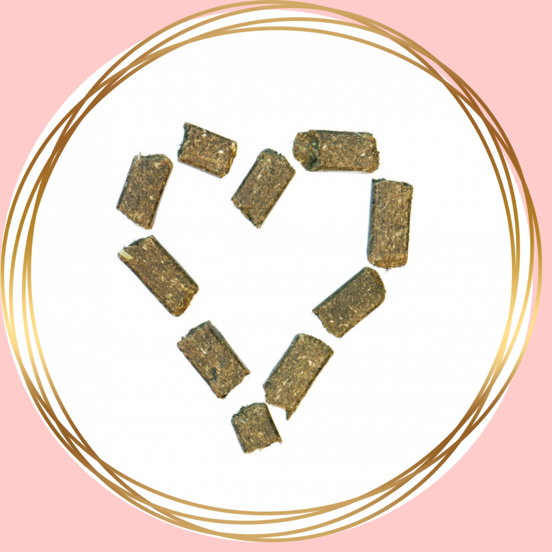 Agrobs | Wiesenbussi