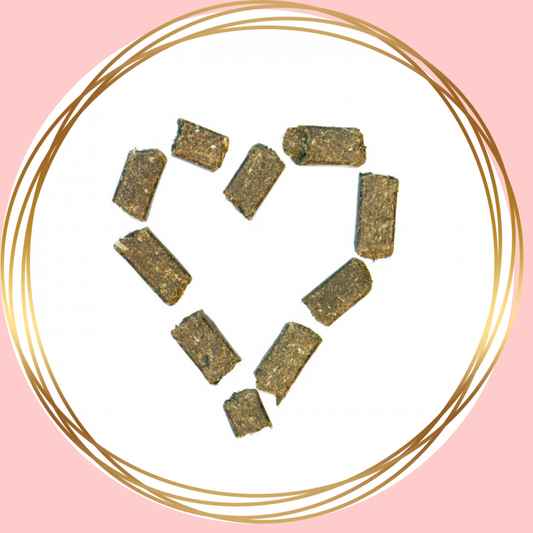 Agrobs | Wiesenbussi