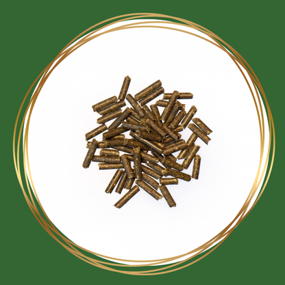 Agrobs | Zinco Pur
