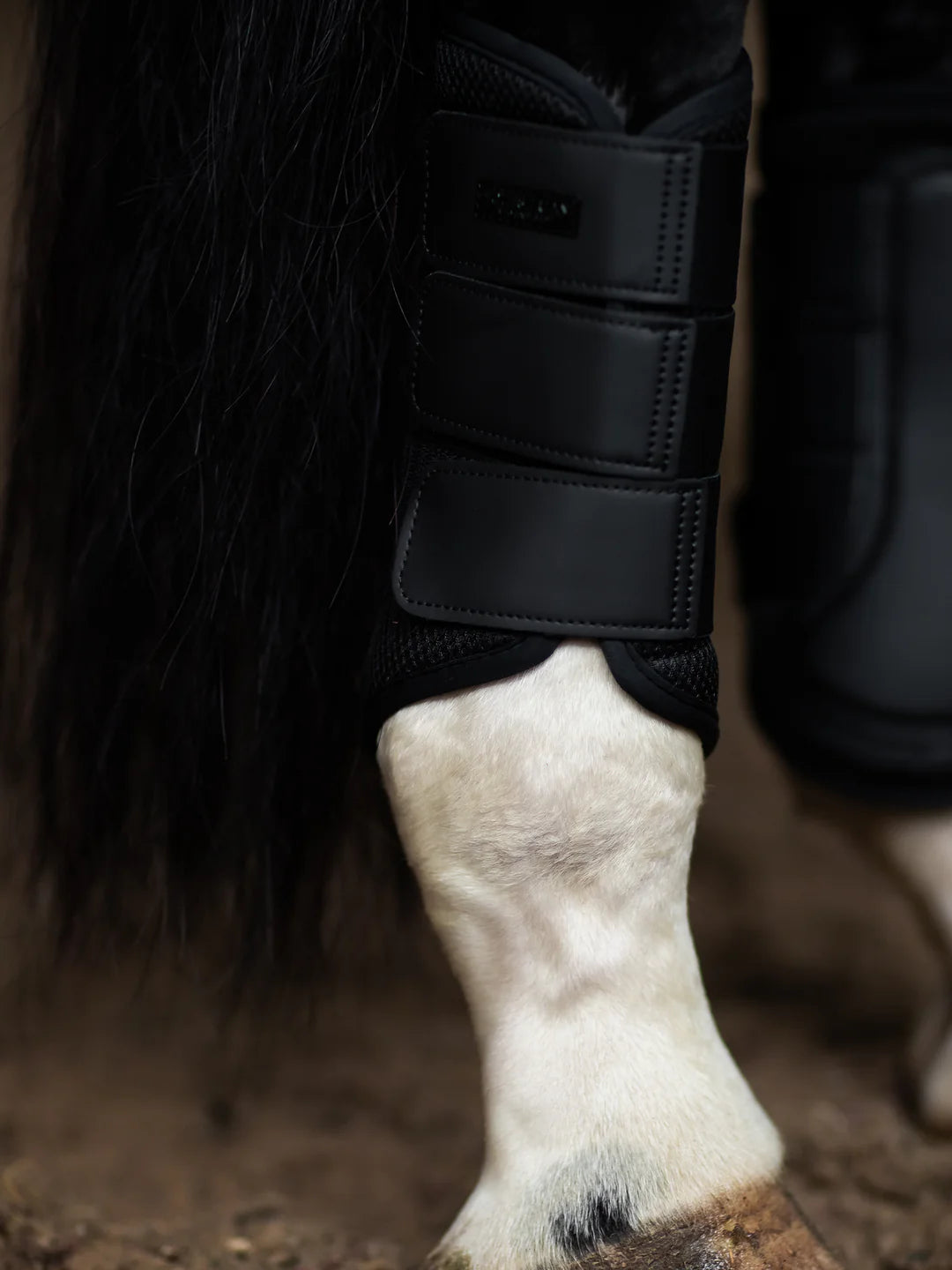 Equestrian Stockholm - Core Collection - Stinchiere in rete nere