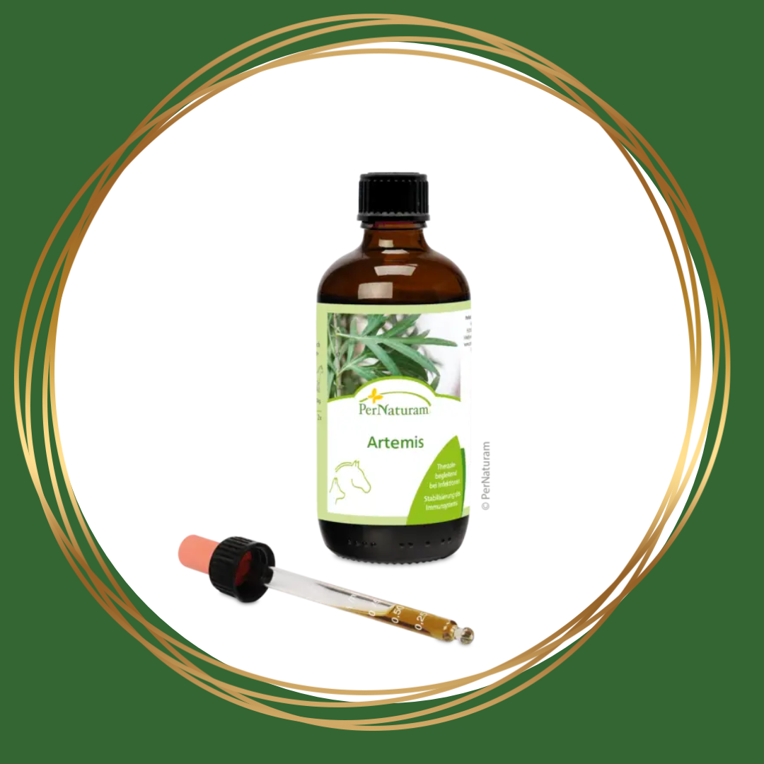 PerNaturam | Artemis (bij infecties)