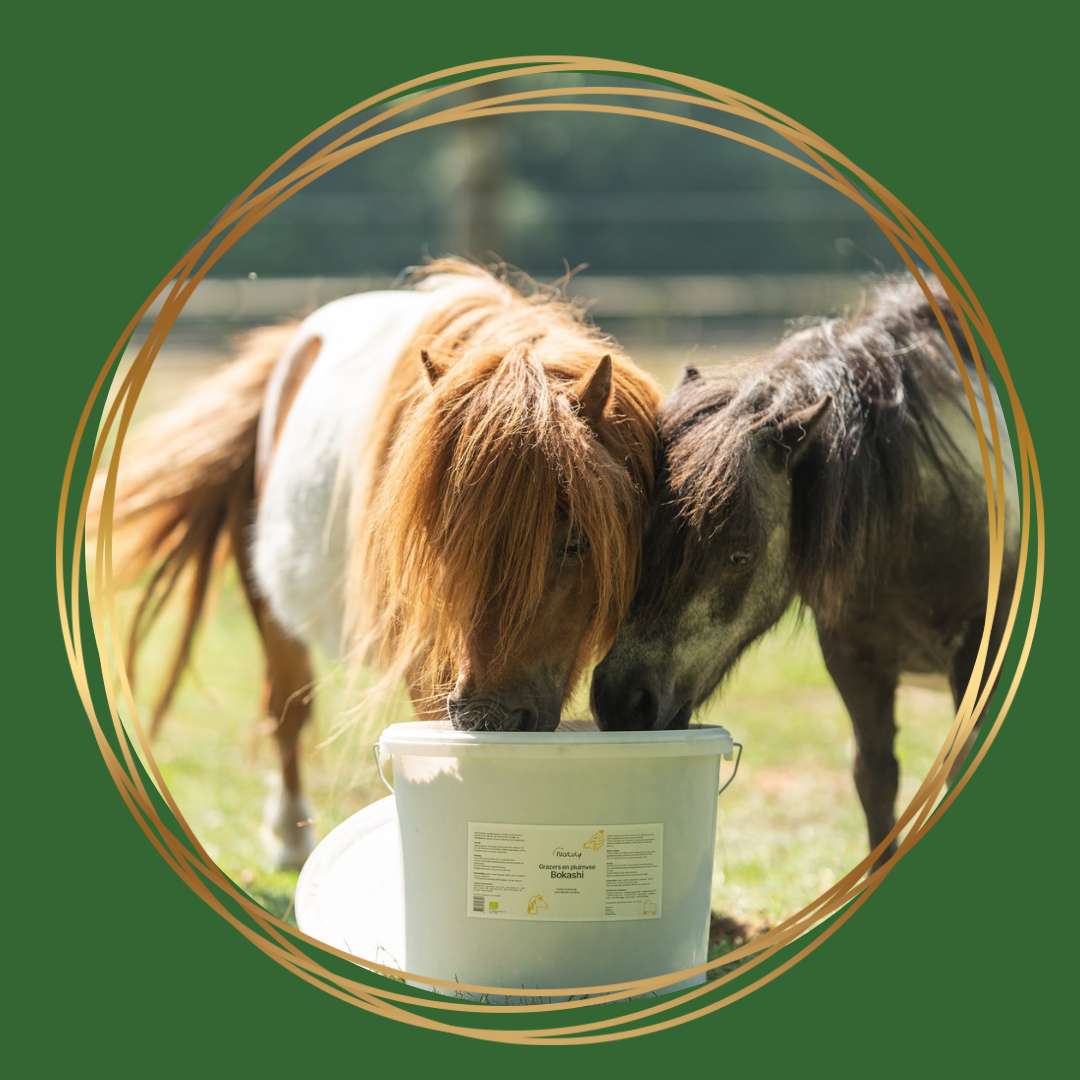 Bio-Ron/Natuly | Bokashi voor Paarden