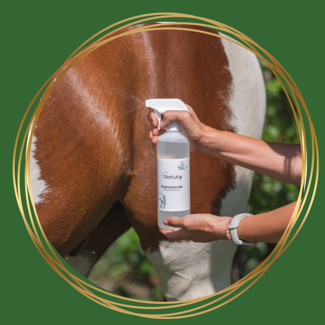 Bio-Ron/Natuly | Magnesiumolie (spray via de huid)