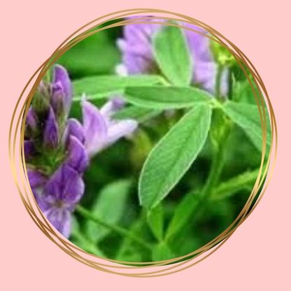 Natuly | Organic Alfalfa Pellet
