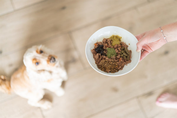 Bio-Ron/Natuly | Biologische Groene Hennep