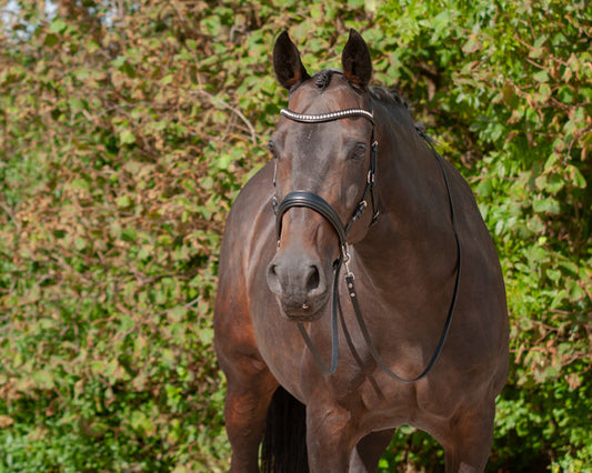 LoveLance - Sidepull Dressuur