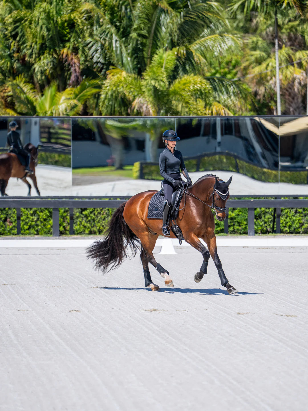 Equestrian Stockholm - Collection Core - Tapis de selle de dressage noir moderne dressuurzadeldek
