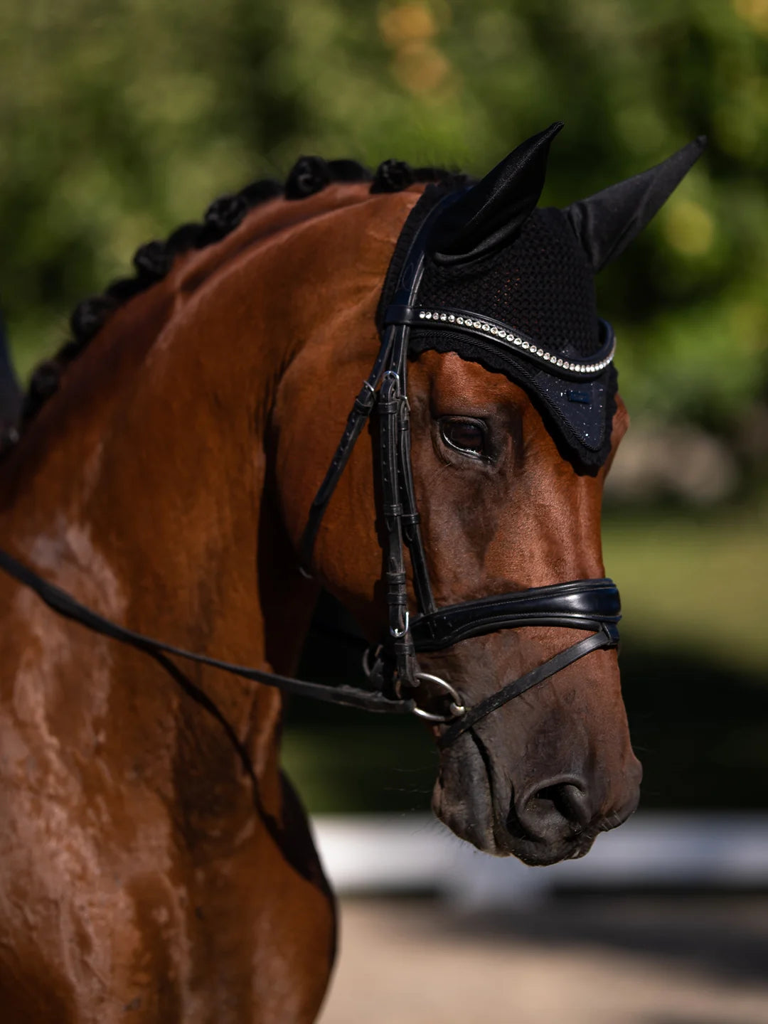 Equestrian Stockholm - Core Collection - All Black Glimmer Ear Bonnet oornetje