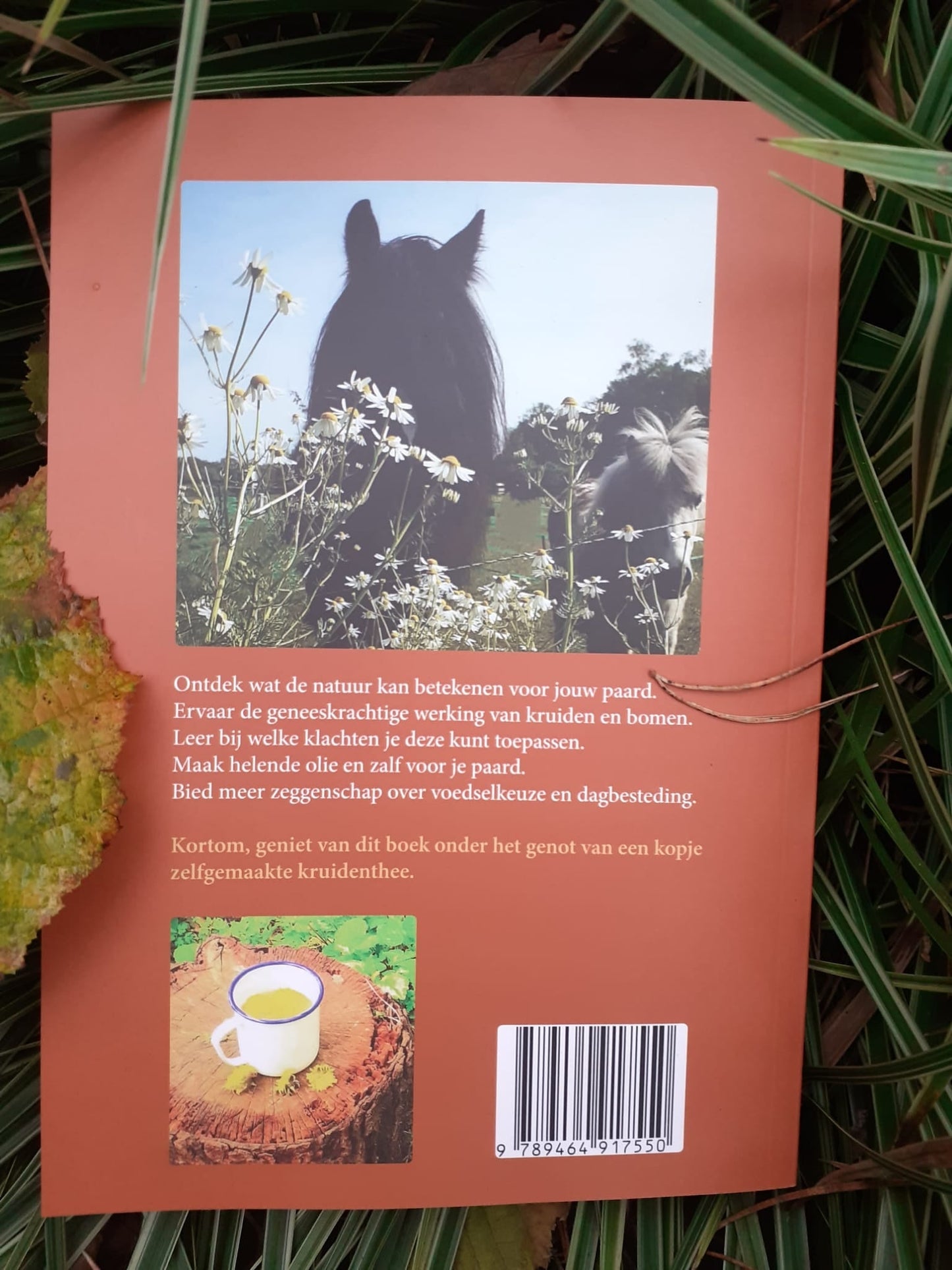 Hannet ten Hietbrink | De natuur als krachtige basis voor jouw paard (boek)