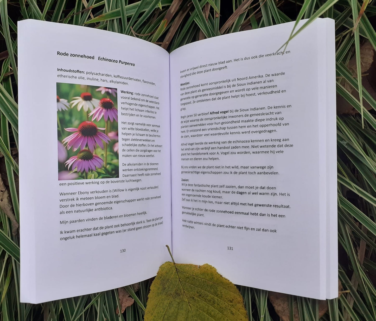 Hannet ten Hietbrink | De natuur als krachtige basis voor jouw paard (boek)