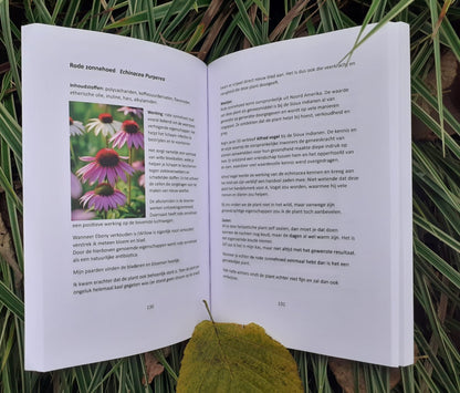 Hannet ten Hietbrink | Die Natur als kraftvolle Basis für dein Pferd (Buch)