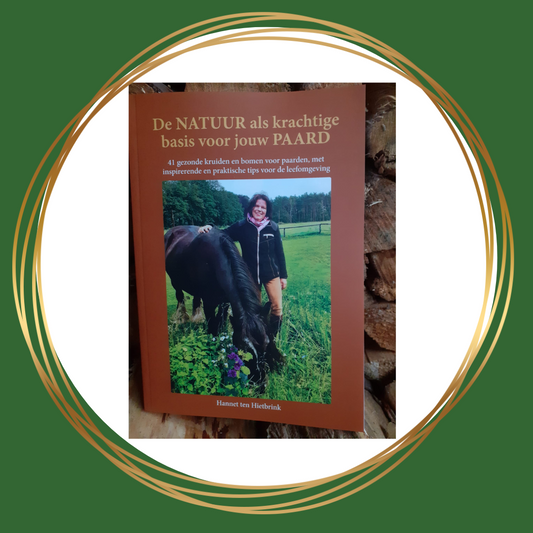 Hannet ten Hietbrink | De natuur als krachtige basis voor jouw paard (boek)