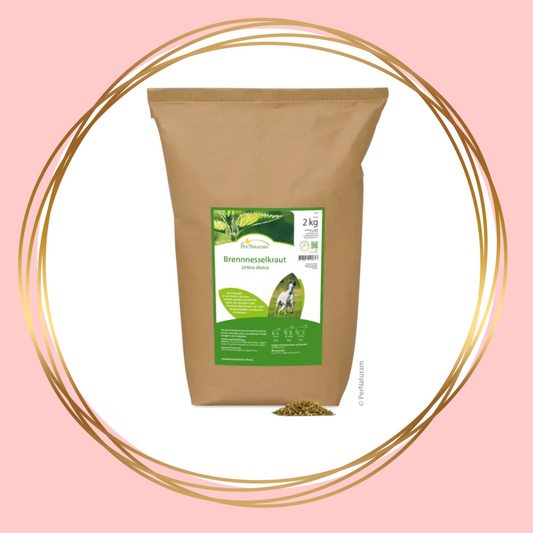 PerNaturam | Brennesselkraut (brandnetelkruid)