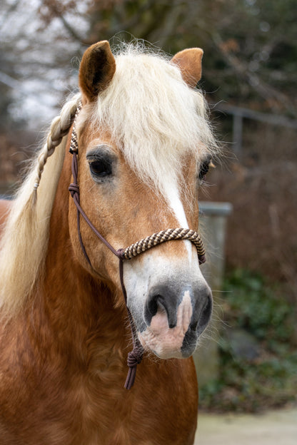 Rope halter brown with beige/brown noseband and earband