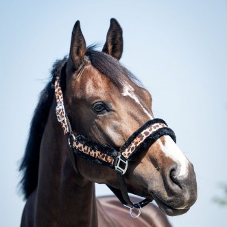 HB - Halster Leopard luipaard met bont