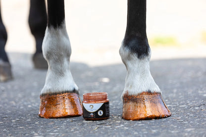 Excellent Horse - Hi Gloss glitter hoeflak 150ml (diverse kleuren)